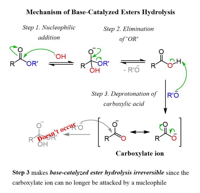 Carboxylic acids and esters lab report